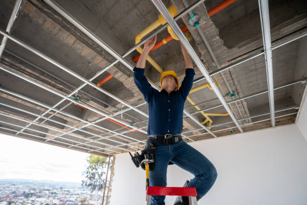 Best Plumbing Services Near Me  in Rockdale, IL