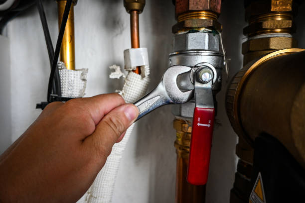 Best Clogged Drain Plumber  in Rockdale, IL